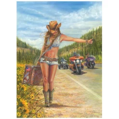 American Gypsy 1000 Piece Jigsaw Puzzle