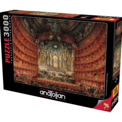 Argentina Theatre 3000 Piece Jigsaw Puzzle