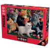 Kittens At Play 260 Piece Jigsaw Puzzle