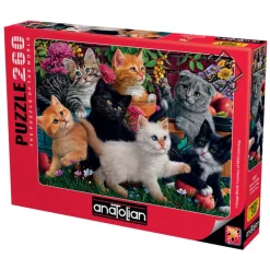 Kittens At Play 260 Piece Jigsaw Puzzle