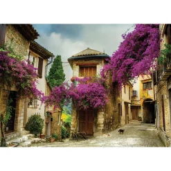 Old Town