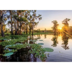 Sunrise Over Duck Lake 3000 Piece Jigsaw Puzzle